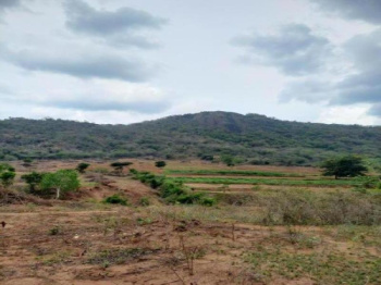  Agricultural Land for Sale in Periyakulam, Theni