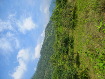  Agricultural Land for Sale in Periyakulam, Theni