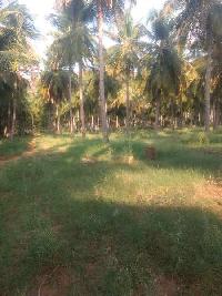  Agricultural Land for Sale in Kadamalaikundru, Theni