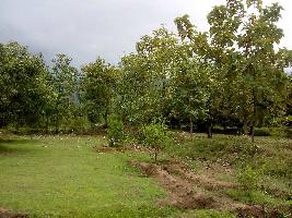  Agricultural Land for Sale in Periyakulam, Theni