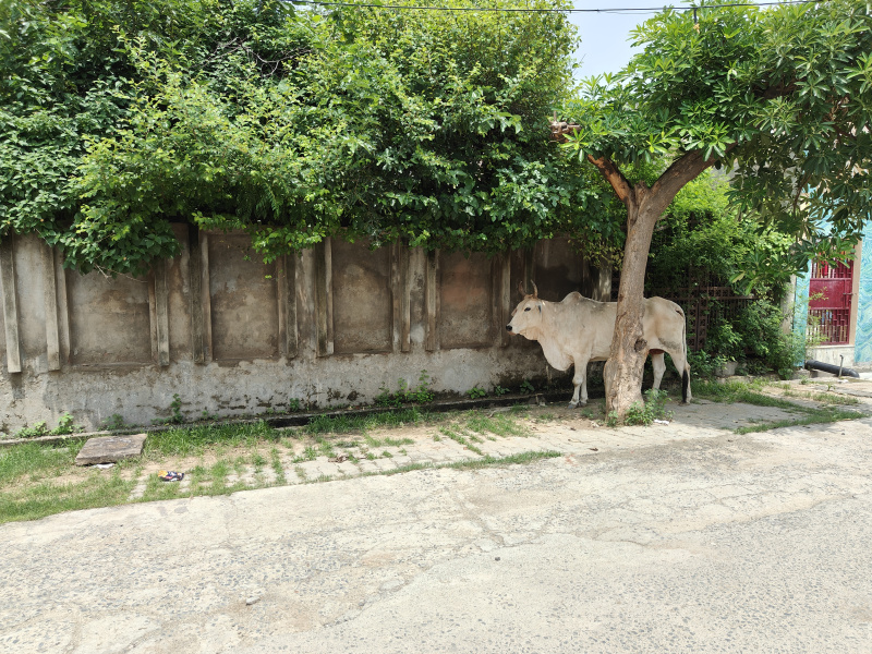  72 Sq. Meter Residential Plot for Sale in Ganga Nagar, Bulandshahr