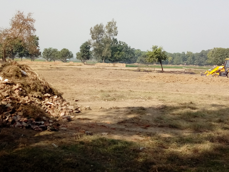  26 Bigha Agricultural/Farm Land for Sale in Jahangirabad, Bulandshahr