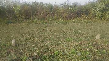  Agricultural Land for Sale in Dongargaon, Rajnandgaon