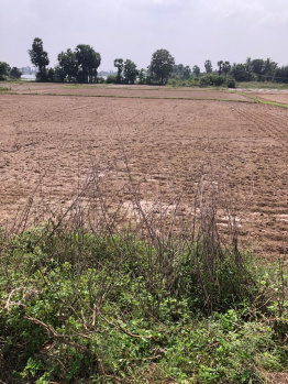  Agricultural Land for Sale in Acharapakkam, Chengalpattu