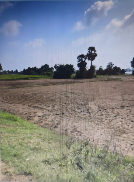  Agricultural Land 50 Cent for Sale in Acharapakkam, Chengalpattu