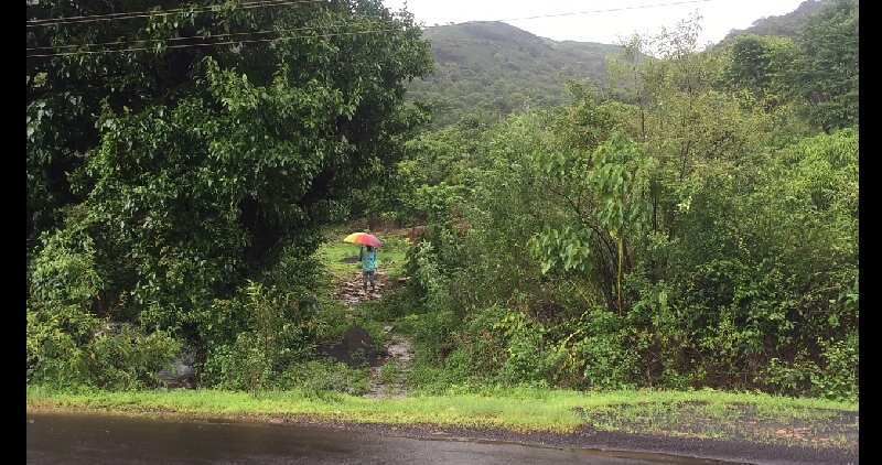  Residential Plot 18 Guntha for Sale in Mulshi, Pune