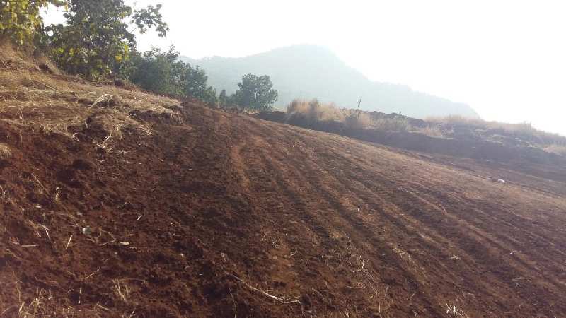 Agricultural Land 4 Acre for Sale in Lodha Paradise, Thane