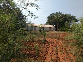 Agricultural Land for Sale in Hiriyur, Chitradurga