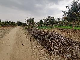  Agricultural Land for Sale in Sira, Tumkur