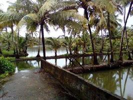  Commercial Land for Sale in Manalur, Thrissur