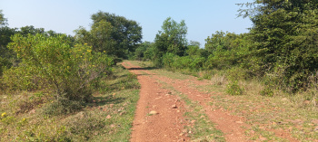 Agricultural Land for Sale in Uthukkottai, Thiruvallur