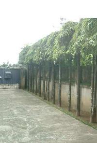 4 BHK House for Sale in Tulsipur, Cuttack