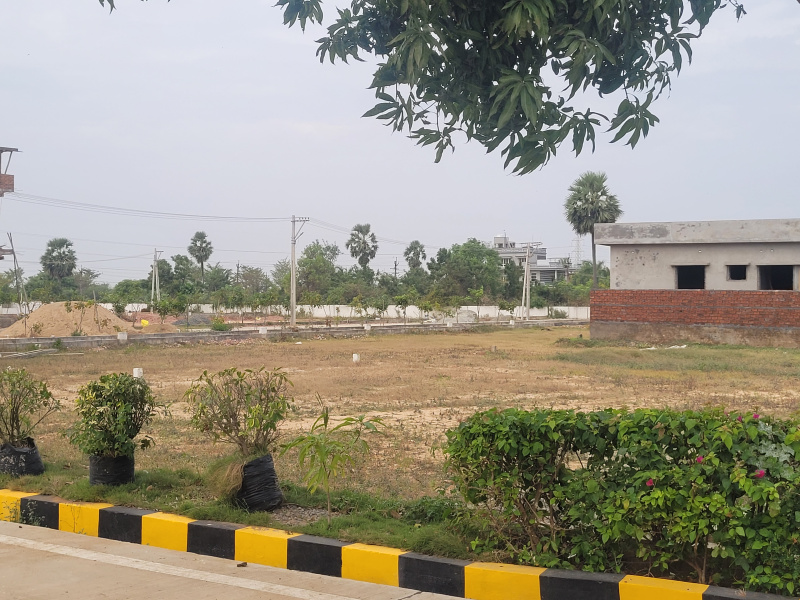  165 Sq. Yards Residential Plot for Sale in Bommuru, Rajahmundry