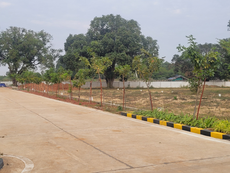  165 Sq. Yards Residential Plot for Sale in Bommuru, Rajahmundry