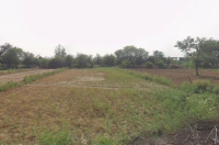  Industrial Land for Sale in Bahadurgarh, Jhajjar