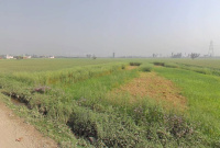  Industrial Land for Sale in Bahadurgarh Bypass