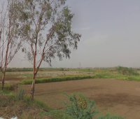  Industrial Land for Sale in Bahadurgarh Bypass