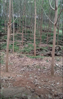  Agricultural Land for Sale in Athur Tiruvattar, Kanyakumari