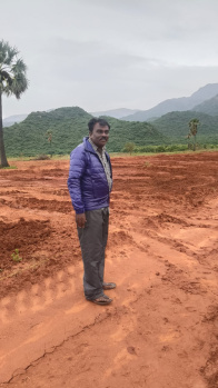  Agricultural Land for Sale in Panagudi, Tirunelveli
