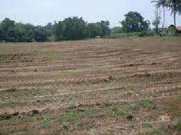  Residential Plot for Sale in Block G Palam Vihar, Gurgaon