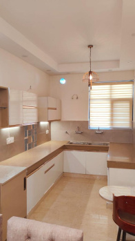 4 BHK House for Rent in VIP Road, Zirakpur