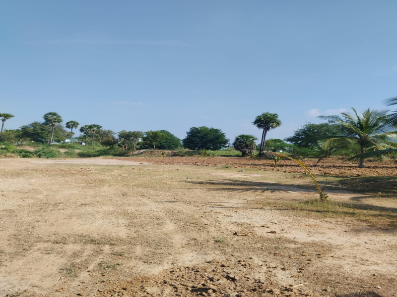  Agricultural Land 1 Acre for Sale in Karaikal, Pondicherry