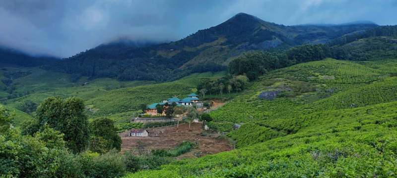  Hotels 250 Cent for Sale in Munnar, Idukki
