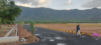  Residential Plot for Sale in Chinnalapatti, Dindigul