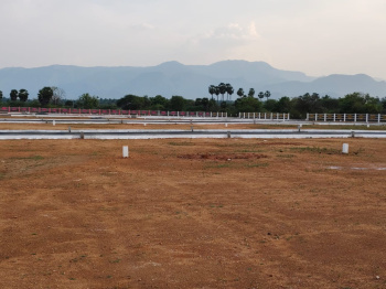  Residential Plot for Sale in Balakrishnapuram, Dindigul
