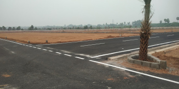  Residential Plot for Sale in Sanarpatti, Dindigul