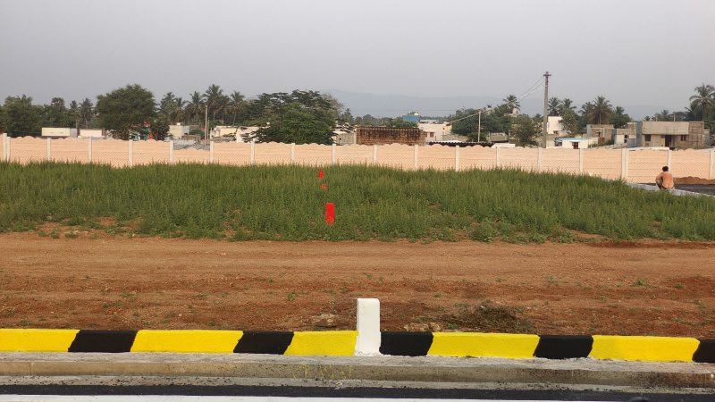 Natham, Dindigul photo 3