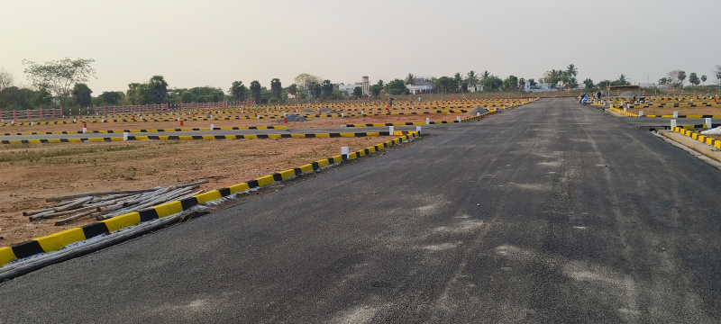 Natham, Dindigul photo 5