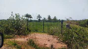  Industrial Land for Sale in Uddanapalli, Krishnagiri