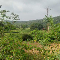  Agricultural Land for Sale in Gundlupet, Chamrajnagar