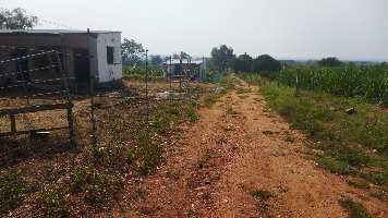  Agricultural Land for Sale in Nanjangud, Mysore