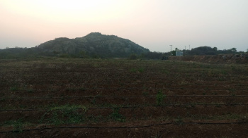  Agricultural Land for Sale in Uddanapalli, Krishnagiri