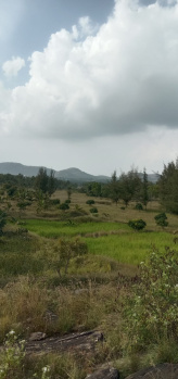  Agricultural Land for Sale in Pandavapura, Mandya