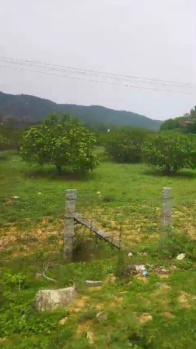  Agricultural Land for Sale in Bargur, Krishnagiri