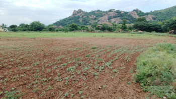  Agricultural Land for Sale in Marandahalli, Dharmapuri