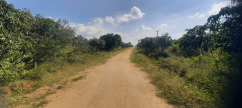  Agricultural Land for Sale in Denkanikottai, Krishnagiri