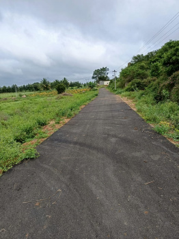  Agricultural Land for Sale in Denkanikottai, Krishnagiri