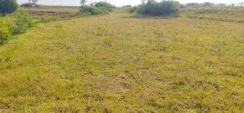  Agricultural Land for Sale in Denkanikottai, Krishnagiri