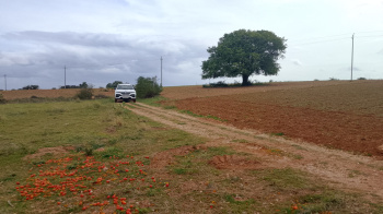  Agricultural Land for Sale in Kalyandurg, Anantapur