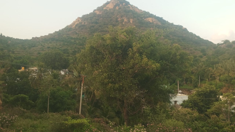 Kathujuganapalli, Krishnagiri photo 3