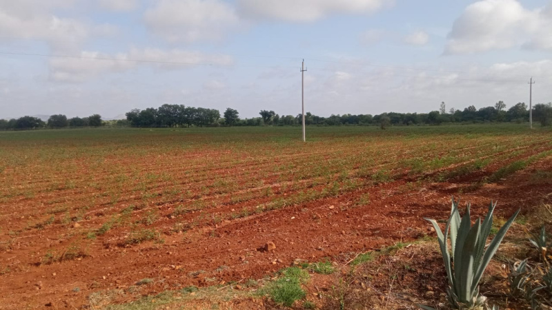 Kadiri, Anantapur photo 3