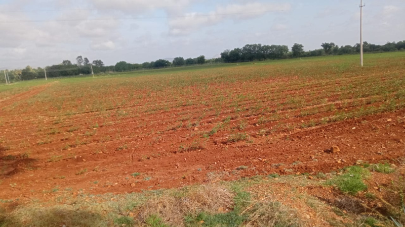 Kadiri, Anantapur photo 4