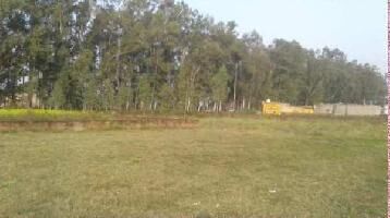  Commercial Land for Sale in Bhogpur, Jalandhar