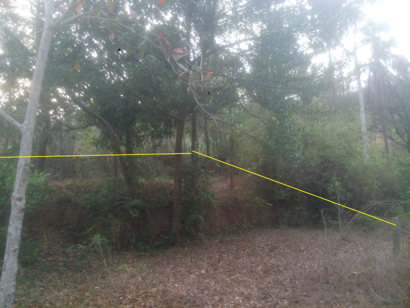 Gurupura, Mangalore photo 3