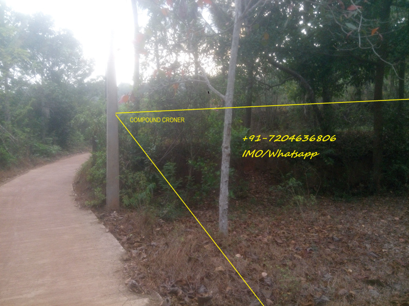 Gurupura, Mangalore photo 4