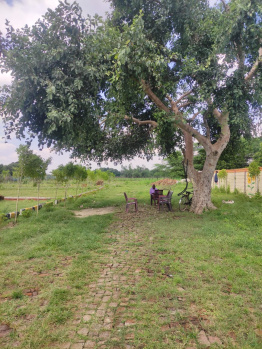  Residential Plot for Sale in Nagram Road, Lucknow
